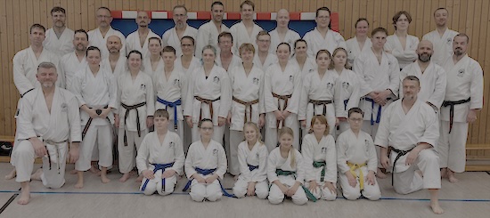 Karate Lehrgang in Döbeln